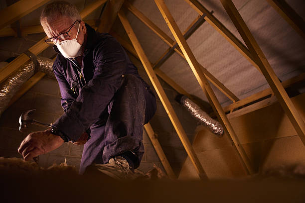 Best Cellulose Insulation in South Bound Brook, NJ